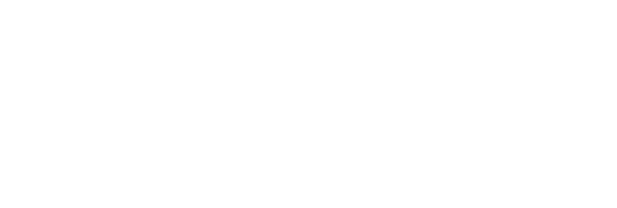 MSM Polymers Group